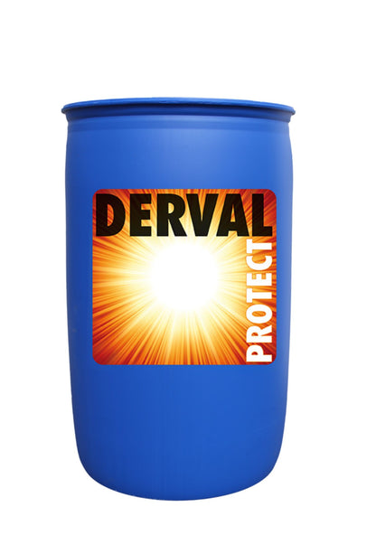 DERVAL_Project-200kg, Kreussler, Waschmittel für Wascherei, Hotels, Restaurants, Pflegeheime